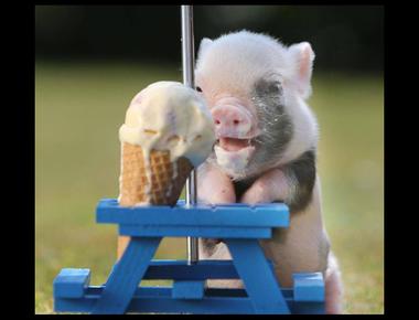 「cloud nine」是什麼意思?