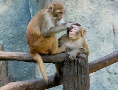 nitpick 是什麼意思?