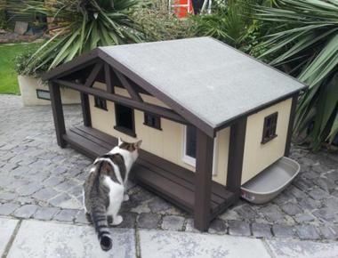 「outhouse」是什麼意思？