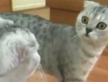 好用句:You never know.